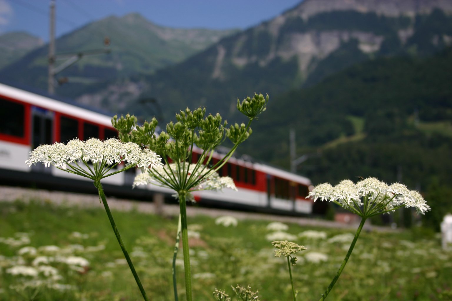 ABe 130 010-2 [Zentralbahn] 14.07.2006 Brienz.JPG
